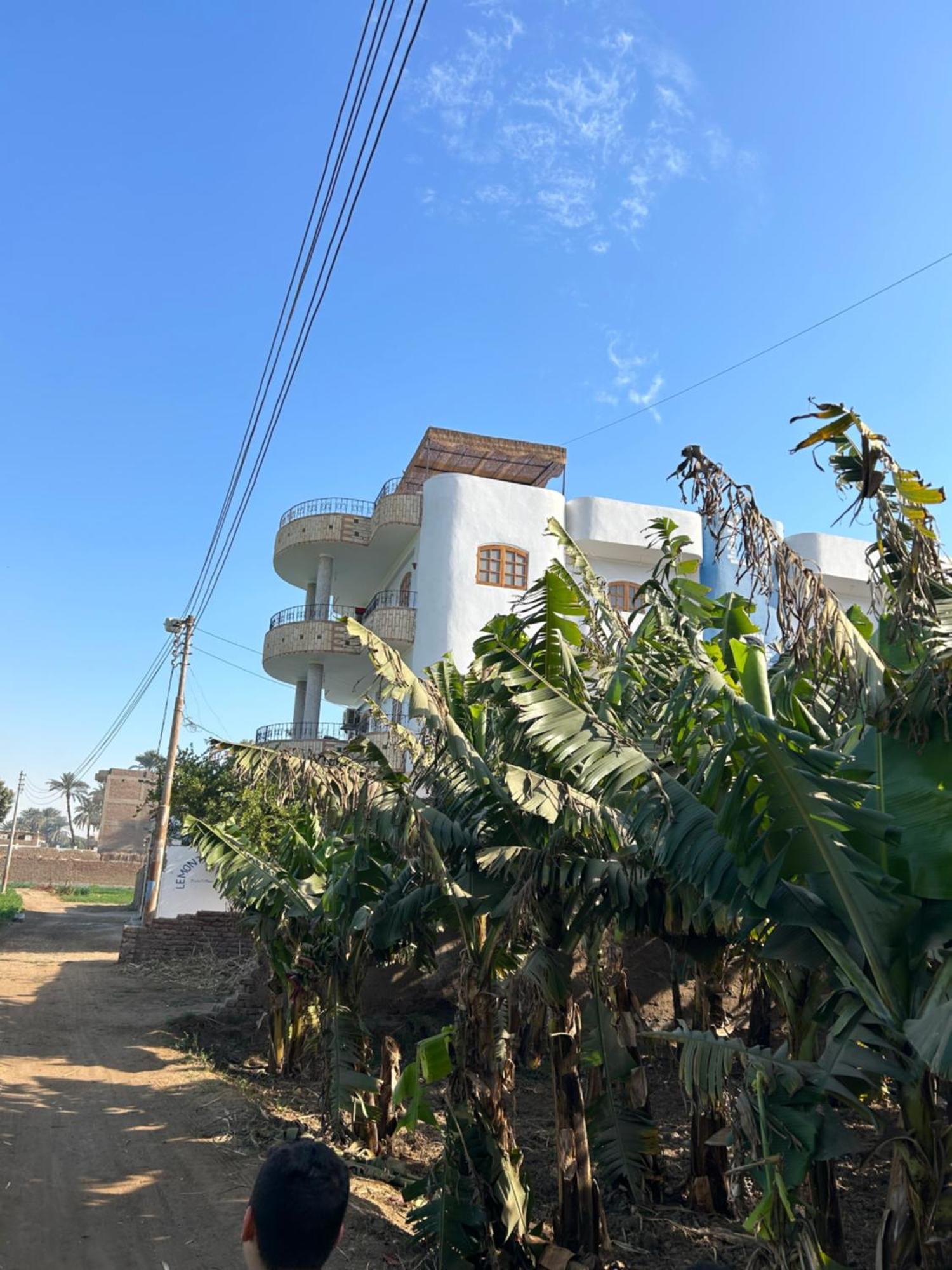 Lemon Tree Apartments Luxor Lel Agalta Екстериор снимка